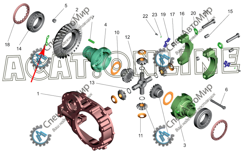 Пластина стопопорная зажима дифференциала МАЗ - 5336-2403067